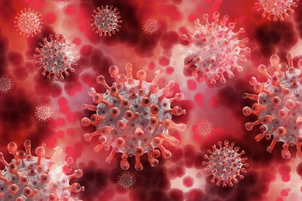 corona, coronavirus, virus